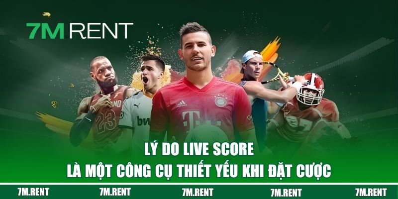 Lý do Live Score là một công cụ thiết yếu khi đặt cược